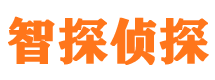 仓山市私人侦探